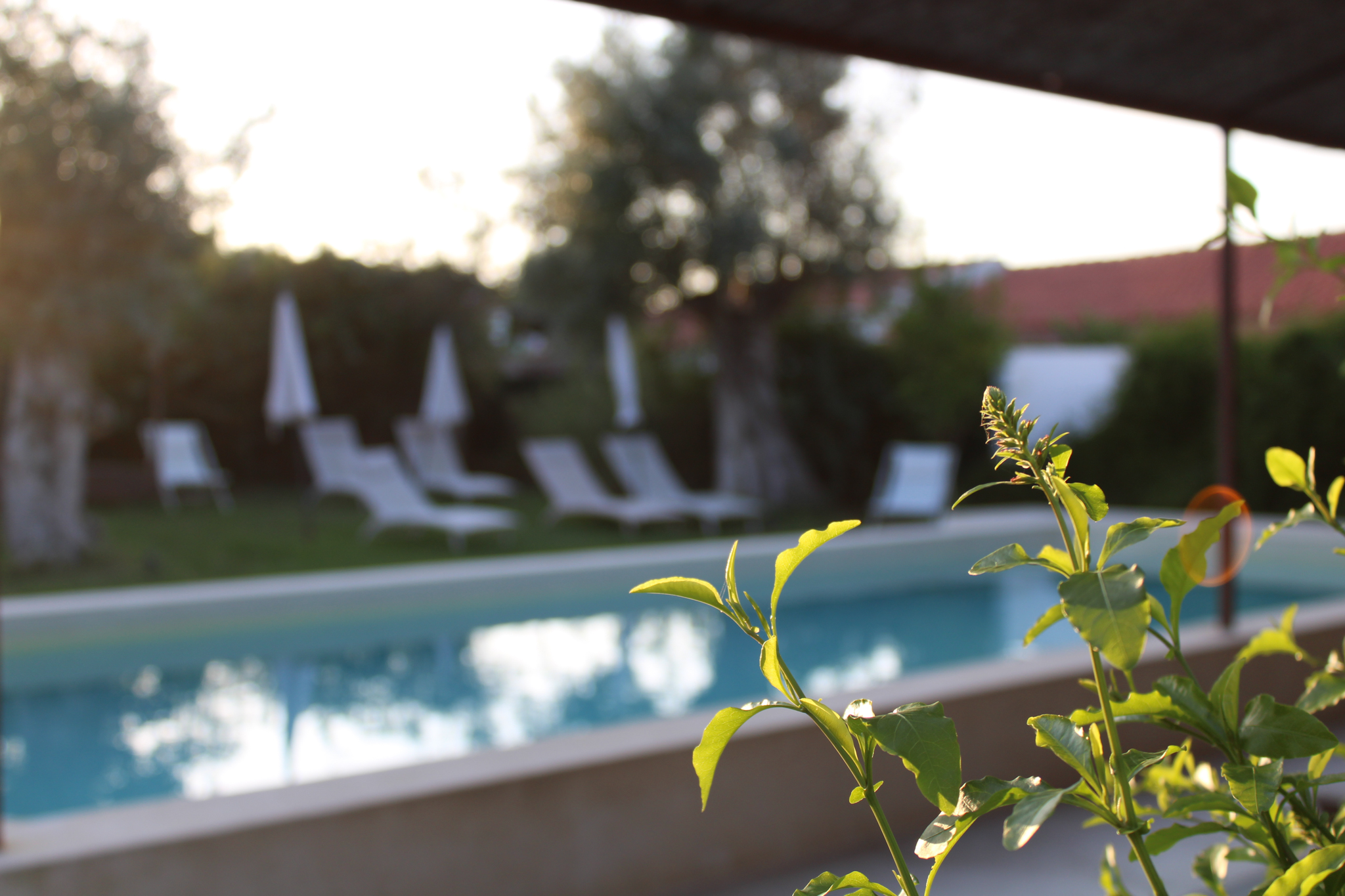 Piscina da Aldeia